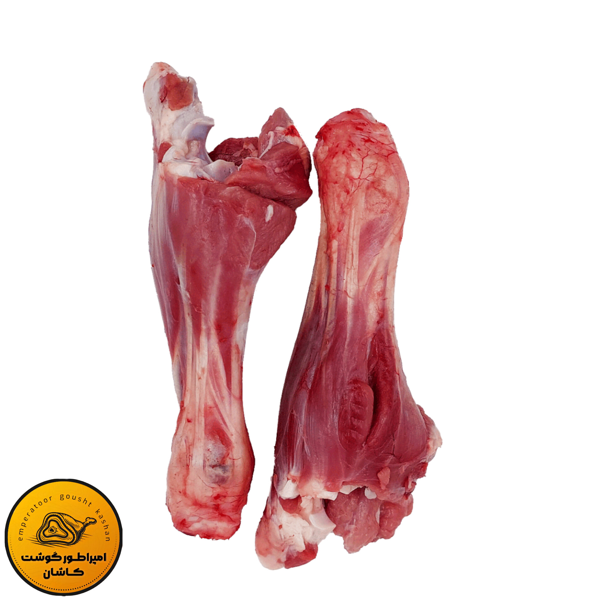 ماهیچه شاندیزی بره نر